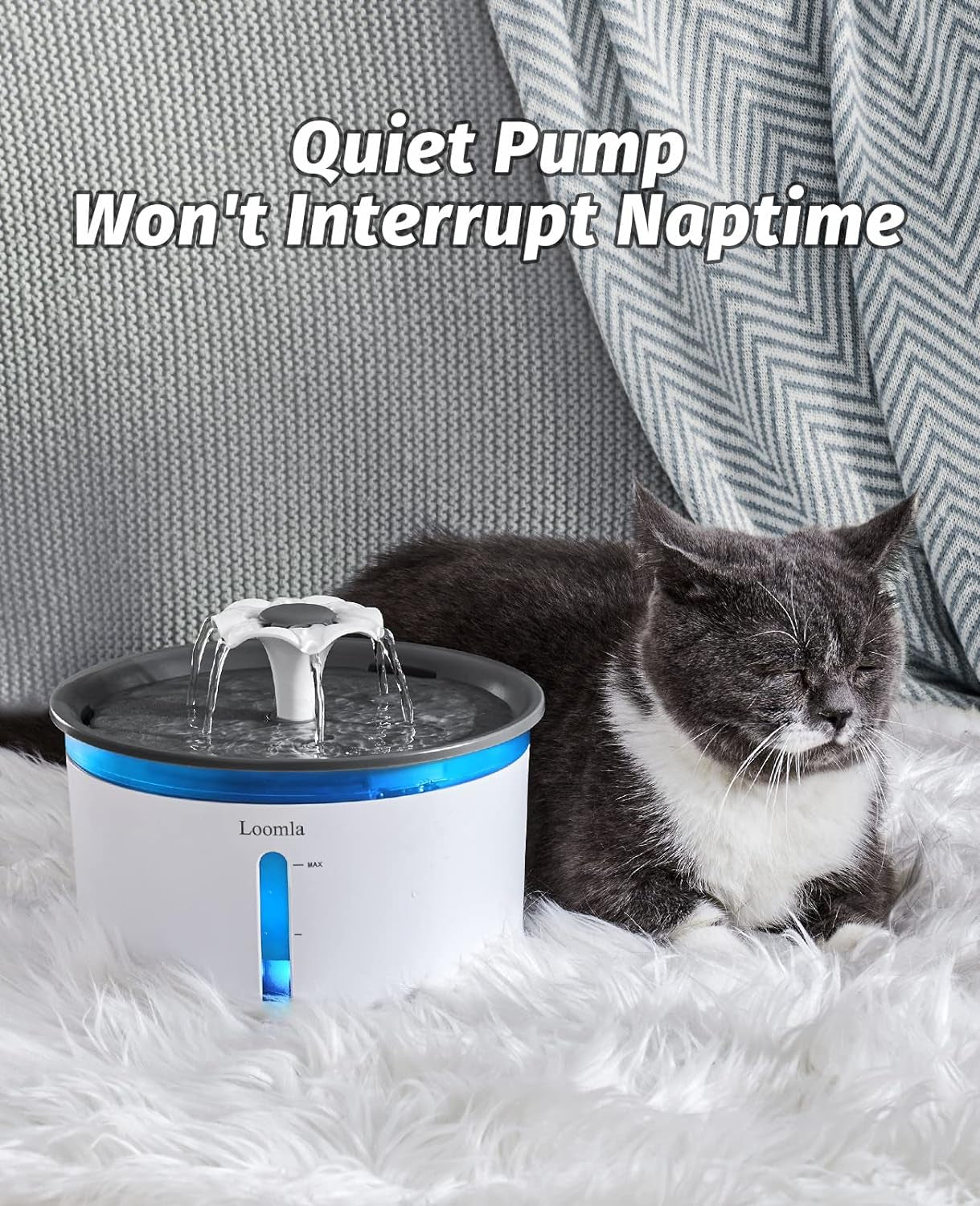 Pet Water Fountain, 85Oz/2.5L Automatic Water Dispenser with Switchable LED Lights, 2 Replacement Filters