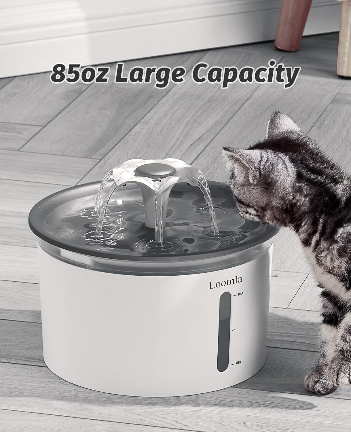 Pet Water Fountain, 85Oz/2.5L Automatic Water Dispenser with Switchable LED Lights, 2 Replacement Filters